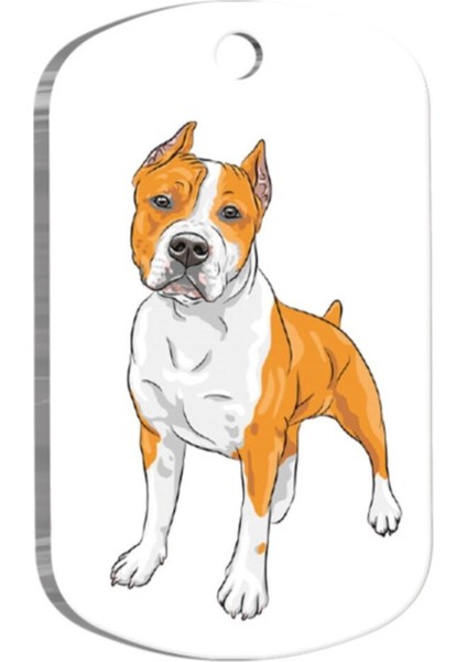 Luxury American Staffordshire Terrier Resimli Köpek Künyesi Small 2 x 3,5 cm 1 Adet