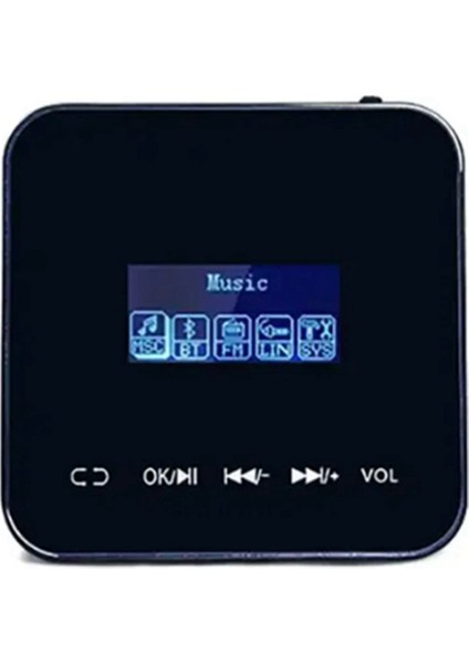 Duvara Monte Akıllı Ev Ses Kontrolü 20WX2CH Amplifikatör Ses (Siyah) (Yurt Dışından)