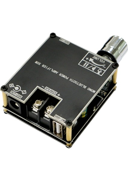 ZK301B Mono 30W Bt5.3 Dijital Ses Amplifikatör Modülü (Yurt Dışından)