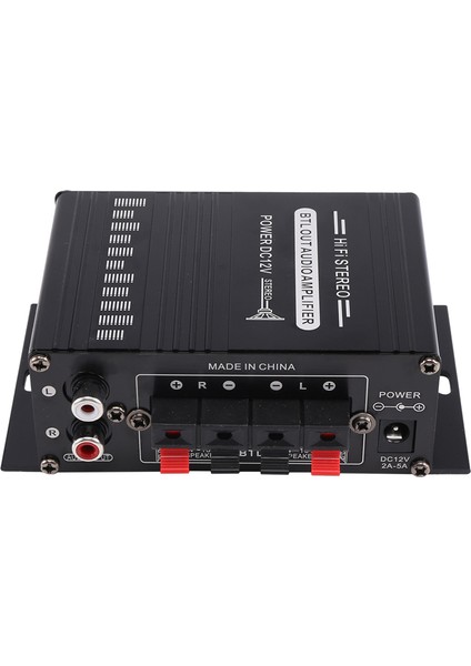 Güç Amplifikatörü 2 Kanal Sınıf D Amplifikatör Usb/sd Aux Girişi (Yurt Dışından)