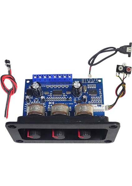 Dc Dişi + Aux Kablosu + USB Kablosu ile Bluetooth Amplifikatör Kartı (Yurt Dışından)