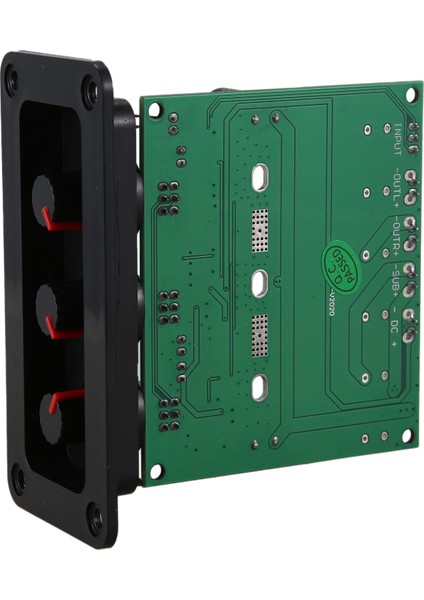 Subwoofer Amplifikatör Kartı Güç Dijital Ses Amplifikatörleri Panel ile (Yurt Dışından)