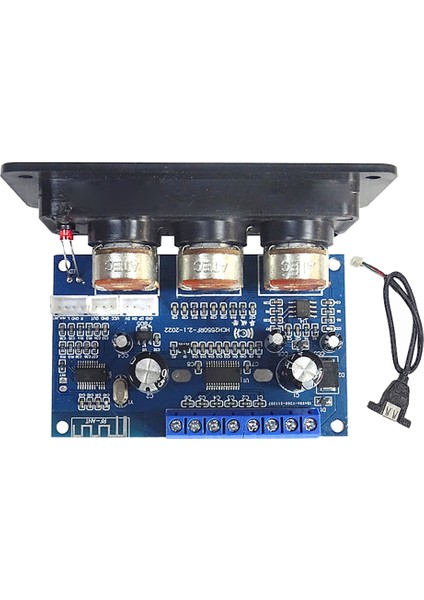 USB Kablolu 2.1 Kanal Bluetooth Dijital Amplifikatör Kartı (Yurt Dışından)