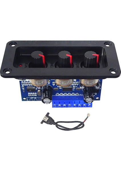 USB Kablolu 2.1 Kanal Bluetooth Dijital Amplifikatör Kartı (Yurt Dışından)