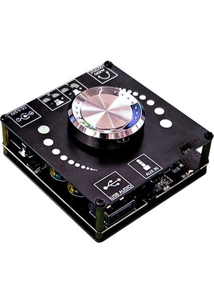XY-AP100H 100W+100W Çift TPA3116D2 Bluetooth 5.0 Ses Amplifikatörü (Yurt Dışından)