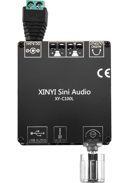 XY-C100L Hıfı 100WX2 Bluetooth 5.0 Yüksek Güçlü Dijital Stereo (Yurt Dışından)