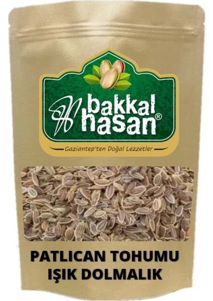 Patlıcan Tohumu Işık Dolmalık 5 gr 1 Adet