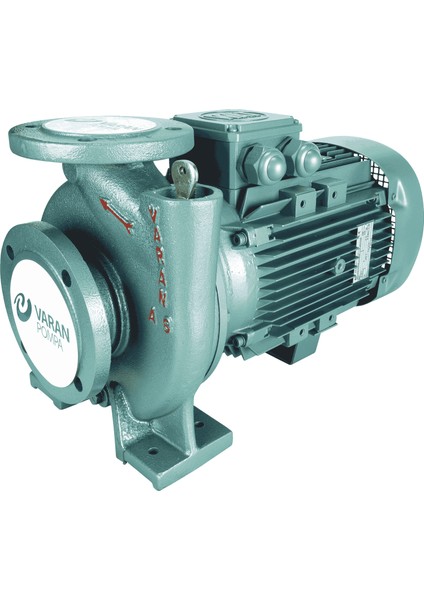 Varan CAS 15 Monoblok Uçtan Emişli Santrifüj Pompa 15 HP / 11.2 kW, Trifaze 380 V, 57 Mss, 70 m3/h