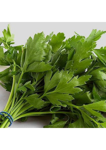 Maydanoz Tohumu D'gıant Italiana 10 gr 1 Adet