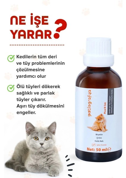 Plus B Kediler Için Tüy Dökümünü Azaltan, Besleyen Tüy Sağlığı Damlası Kedi Tüy Döküm Önleyici 50 ml fiyatları