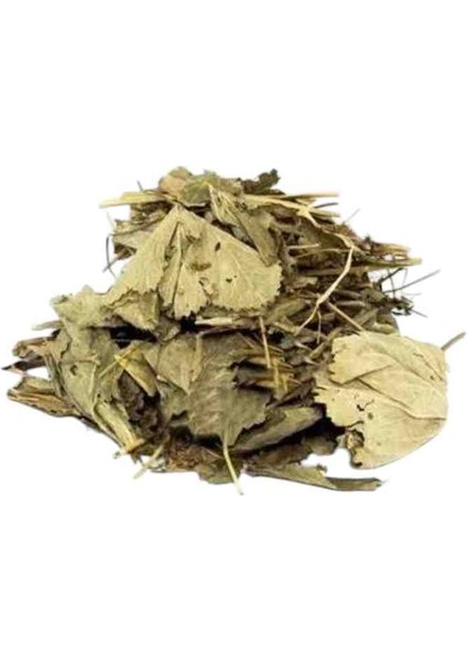 Testere Dişli Aslan Pençesi. Alchemilla Vulgaris. 100 gr