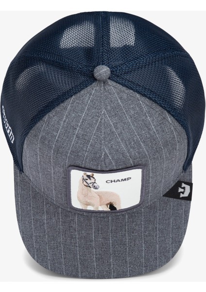 Suited Champ.navy modelleri