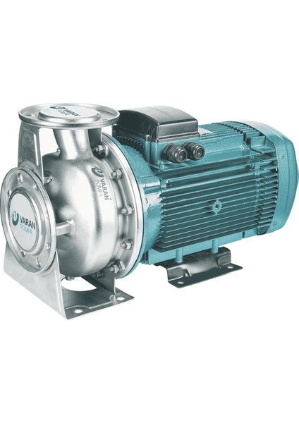 Varan CA 65-40-125/3.0T Paslanmaz Santrifüj Pompa 4 HP / 3 kW, Trifaze 380 V, 31 Mss (AISI 304)