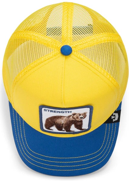 The Strong Bear.golden indirimleri