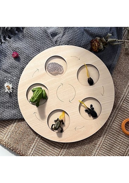 20 Adet/grup Moc Tuğla Renkli Pantolon Elbise Kısa Bacaklar Boş Vücut Birleştirin Yapı Taşları Parçacıklar Oyuncaklar Plastik Bebek (Yurt Dışından)