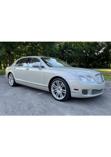 Bentley Flying Spur Kaput Amortisörü 2005-2013 (2 Adet) fiyatları