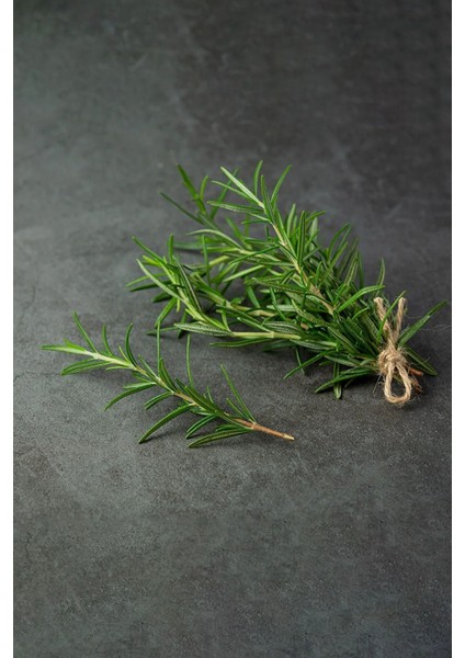 40 Gram Doğal Taptaze Biberiye Otu 40 Gr. Fresh Rosemary Dalından Evinize Taze fiyatları