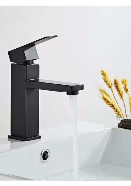 Berlin Siyah Robot Duş Seti & Rudi Siyah Lavabo ve Banyo Bataryası - FB602B3 fırsatları