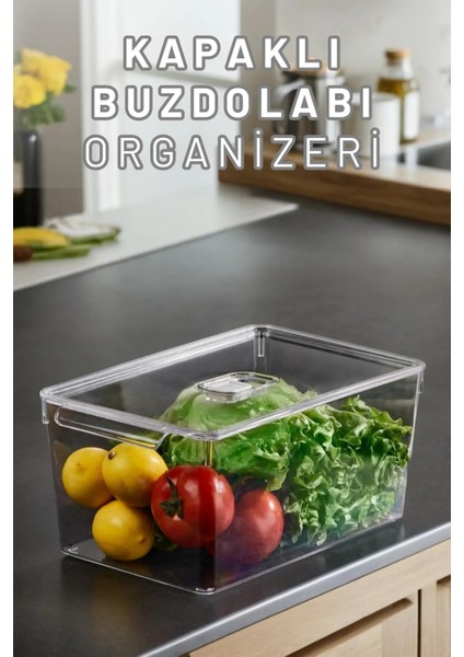 Buzdolabı Dolapiçi Düzenleyici Organizer Kapaklı Tekli (Maxi)
