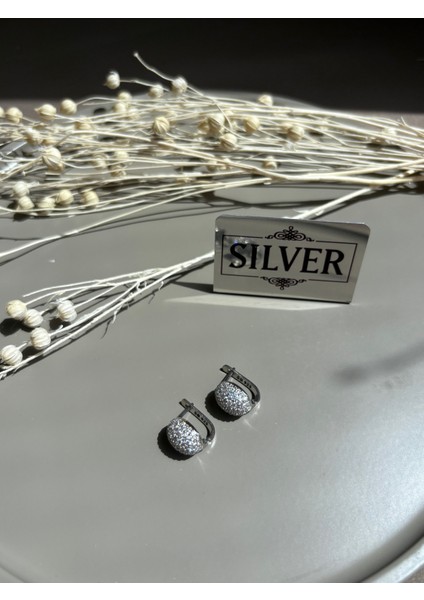 925 Ayar Gümüş Küpe P16GK21