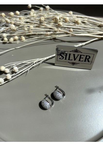 925 Ayar Gümüş Küpe P16GK21 fiyatları