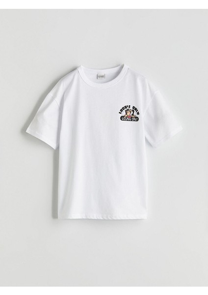 Kk.tsh,monkı-5 (S5)