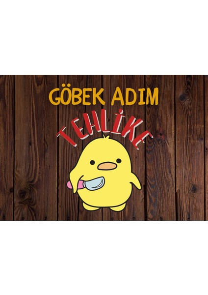 Genç Odası Kapı Posteri 3'lü Ahşap Poster Set (20X30CM)