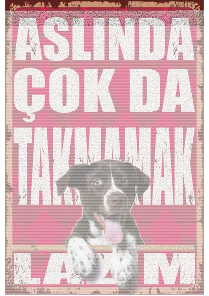 Aslında Çok Da Takmamak Lazım Komik Duvar Yazıları Retro Ahşap Poster