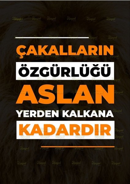 Duvar Yazıları Çakalların Özgürlüğü Retro Ahşap Poster