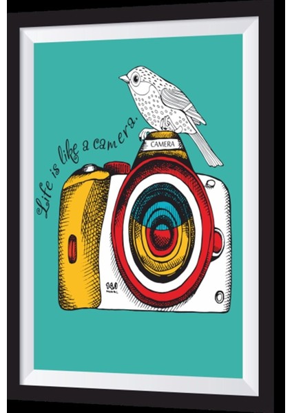 Kuşlu Fotoğraf Makinesi Sanatsal Çerçeve Görünümlü Ahşap Tablo