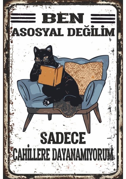 Cahillere Dayanamıyorum Kitap Okuyan Kedi Retro Ahşap Poster