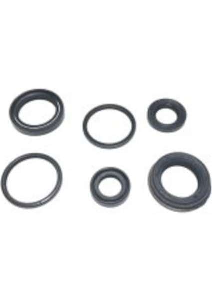 TVS SCOOTY PEP YAĞ KEÇE SETİ