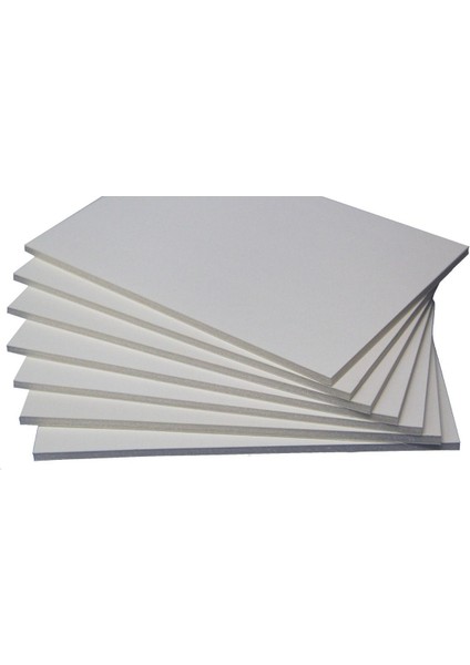 Tukan Kuşu 20 x 30 Tablo