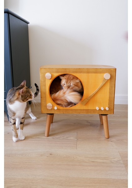 Kedi Evi Dekoratif Retro Plak Çalar Kedi Evi