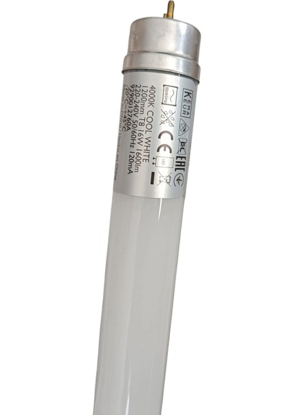 Philips Tüp LED Lamba, Ledtube T8 1200 mm 1600LM 36W/840 G13 4000 Kelvin 10 Adet, Ecofit LED Tube