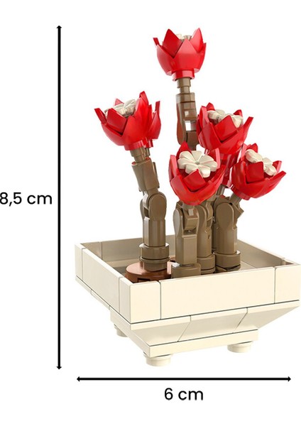 JK2710 Blok Sukulent Çiçekler 9 cm 120 Parça