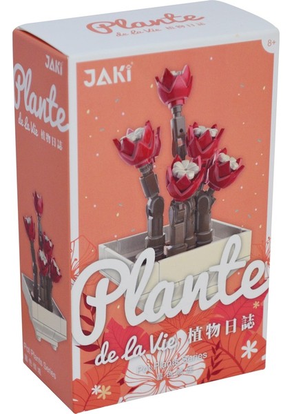 JK2710 Blok Sukulent Çiçekler 9 cm 120 Parça