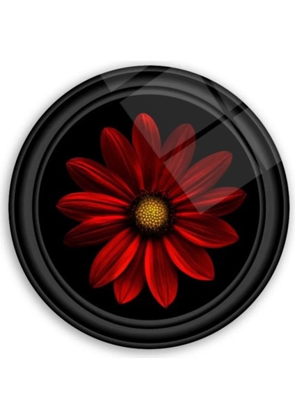 Marsilyan- Çiçek Yuvarlak Cam Tablo fiyatları