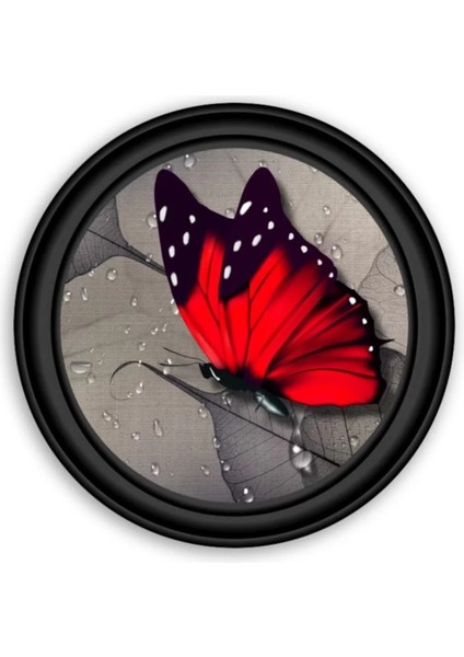 Marsilyan- Kelebek Yuvarlak Cam Tablo modelleri