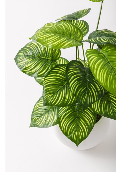 Yapay Salon Köşe Çiçeği Devetabanı Yeşil Sarı 65 cm Küre Plastik