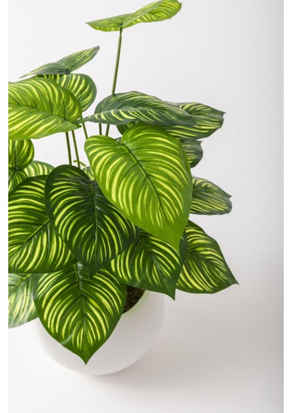 Yapay Salon Köşe Çiçeği Devetabanı Yeşil Sarı 65 cm Küre Plastik