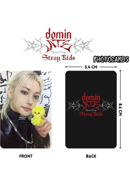 Stray Kıds '' Dominate 3rd World Tour '' Photocards Set fiyatları
