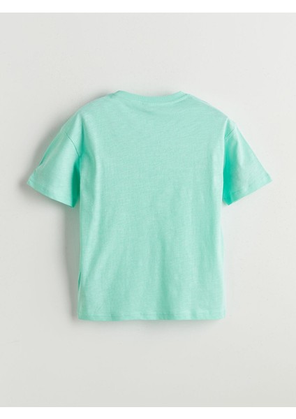 Lcw Kids Bisiklet Yaka Basic Erkek Çocuk Tişört (S5) fiyatları