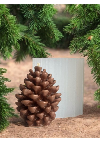 Kozalak Silikon Kalıp