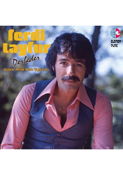 Şeyler Ferdi Tayfur Derbeder Plak