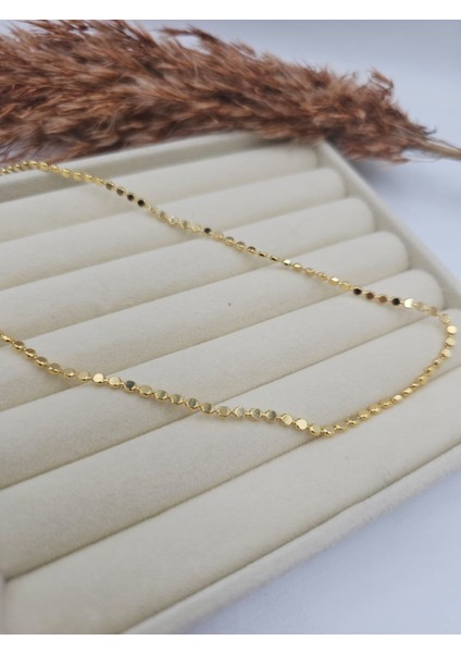 Altın Kaplama Çelik Ezme Pul Zincir Kolye fırsatları