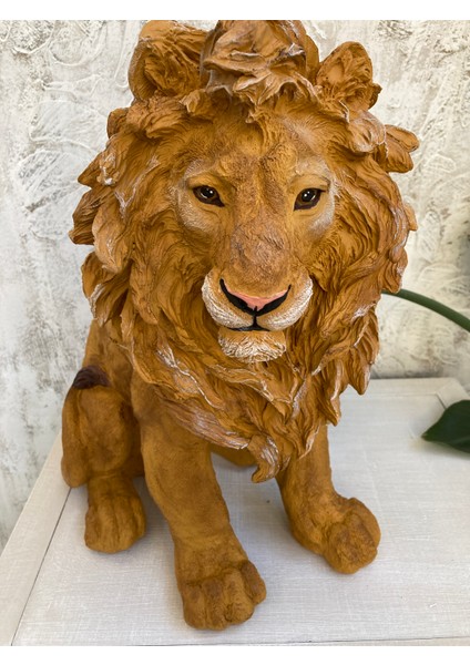 Aslan Büyük Heykel, Biblo fırsatları