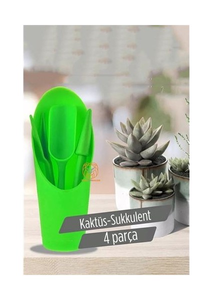 Dktt Kaktüs Sukkulent Dikim Seti