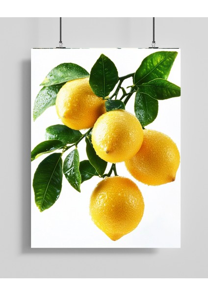 Limon Dalı Mutfak Sanat Posteri