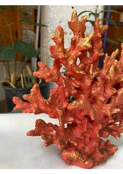 Küçük Deniz Mercan